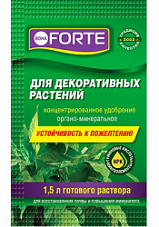 BF_sashe_2021_dekorative_zdorovie