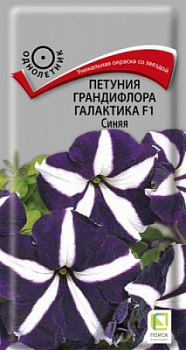 petunia_grandiflora_galaktika_f1_sinyaya