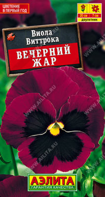 Виола Вечерний жар