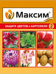 wokjap5mvet6ghzxsgdub6w8biq1qi9r масим 2