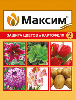 wokjap5mvet6ghzxsgdub6w8biq1qi9r масим 2