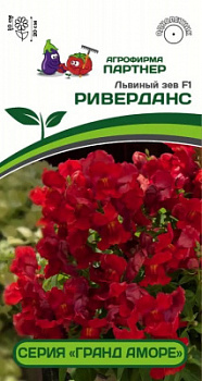 Львиный зев риверданс