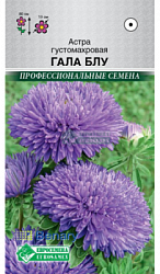 Астра Гала Блу
