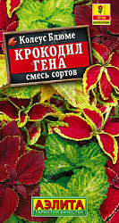 Колеус блюме Крокодил Гена