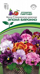 Виола Эпоха Барокко