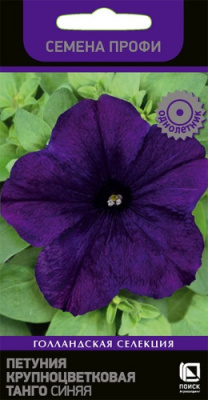 petunia_krupnocvet_tango_sinyaya