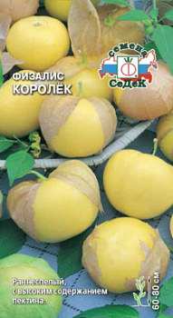 fizalis_korolyek_ovoshchnoy