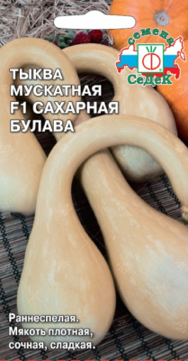 tykva_sakharnaya_bulava_muskatnaya