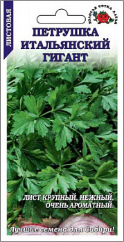 Петрушка итальянский гигант