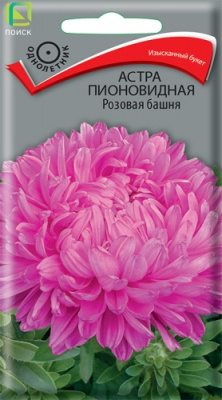 astra_pion_rozovaya_bashnya