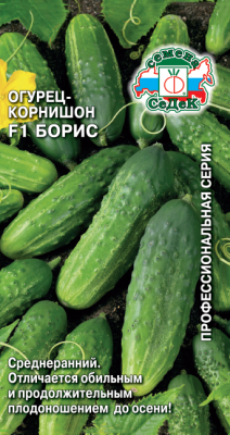 ogurets_boris_f1