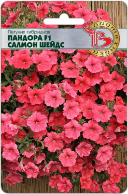Петуния Пандора салмн Шейдс