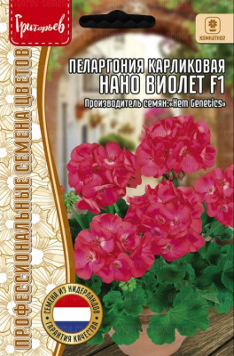 Пеларгония Нано Виолет