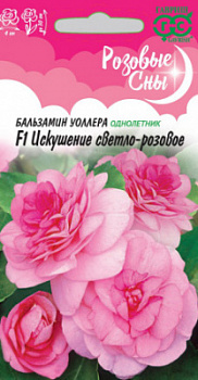 Бальзамин светло-роз