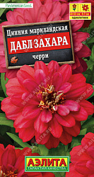 Цинния Дабл Захара Черри