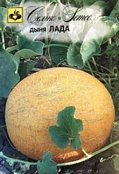 dynya_lada