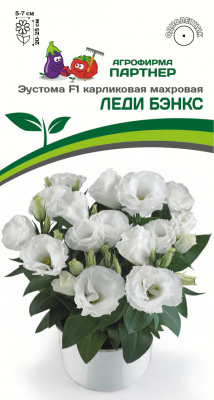 ЦБ-00000397_1
