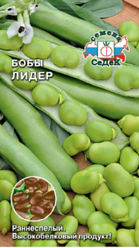 boby_lider
