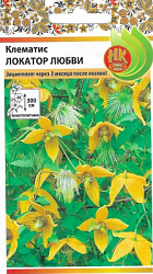 Клематис локатор любви