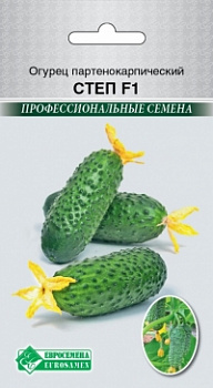 Огурец Степ