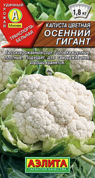 Капуста цветная Осенний гигант_ЦП