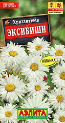 Хризантема Эксибишн