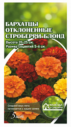 Бархатцы отклоненные Strawberry Blonde