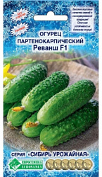 Огурец Реванш партенокарпик