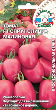 tomat_sprut_slivka_malinovaya_f1