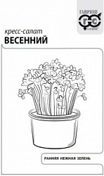 Салат КРЕСС Весенний
