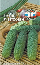 ЦБ-00000353_1