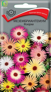 Мезембриантемум Искорки