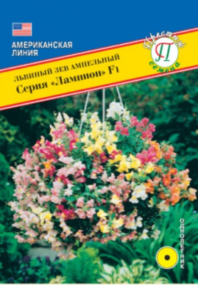 Львиный зев