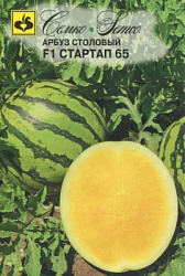 arbuz_startap65_0