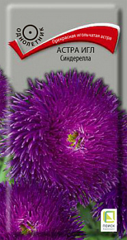 astra_igl_sinderella