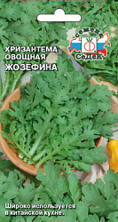 khrizantema_ovoshchnaya_zhozefina