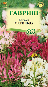 matilda_mini4