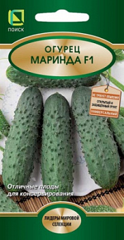 ogurec_marinda