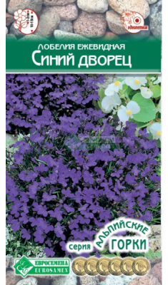 Лобелия Синий дворец