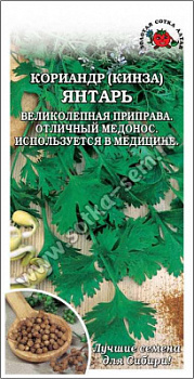 Кориандр Янтарь