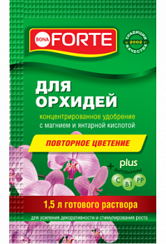 BF_sashe_2018-02_copy