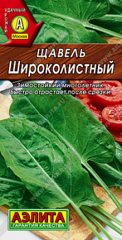 Щавель Широколистный
