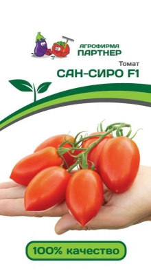 Томат Сан Сиро