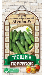 Огурец Муссон