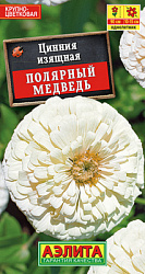 Цинния Полярный медведь_ЦП