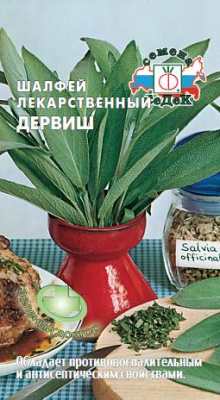 shalfey_lekarstvennyy_dervish