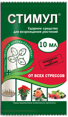 stimul10_ten