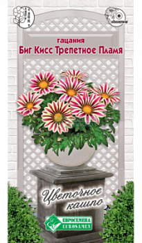 Гацания Биг Кисс Трепетное Пламя