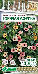 Тунбергия ГОРЯЧАЯ АФРИКА