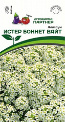 Алиссум истер бонет вайт